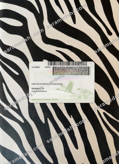 USA Nebraska new driving license photolook back